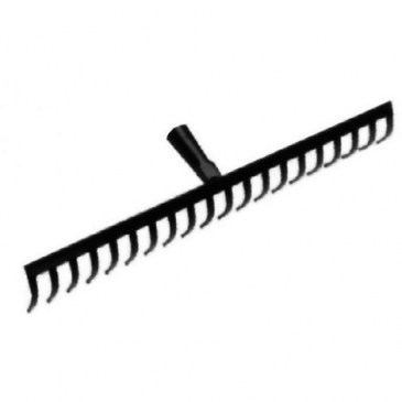 No hay imagen establecida 