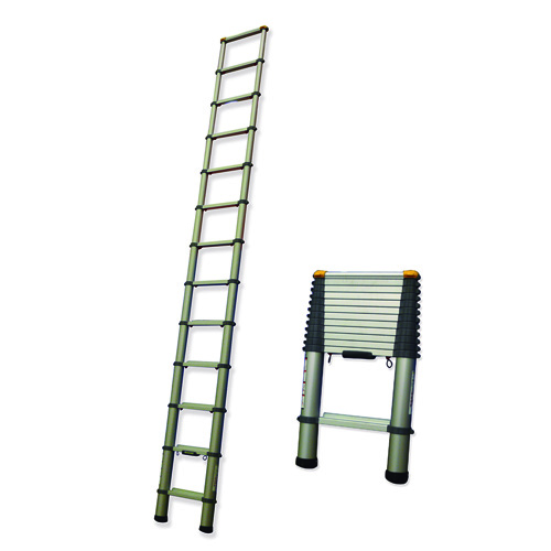 Telescopic ladder