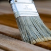 Timber