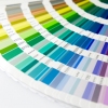 Emulsion paints and coatings