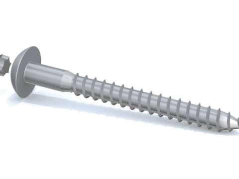 Tamper-proof screw
